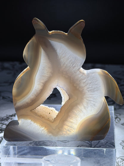 Druzy Banded Agate Cat “Geode Window” — 180g | 9.5 x 9.2cm