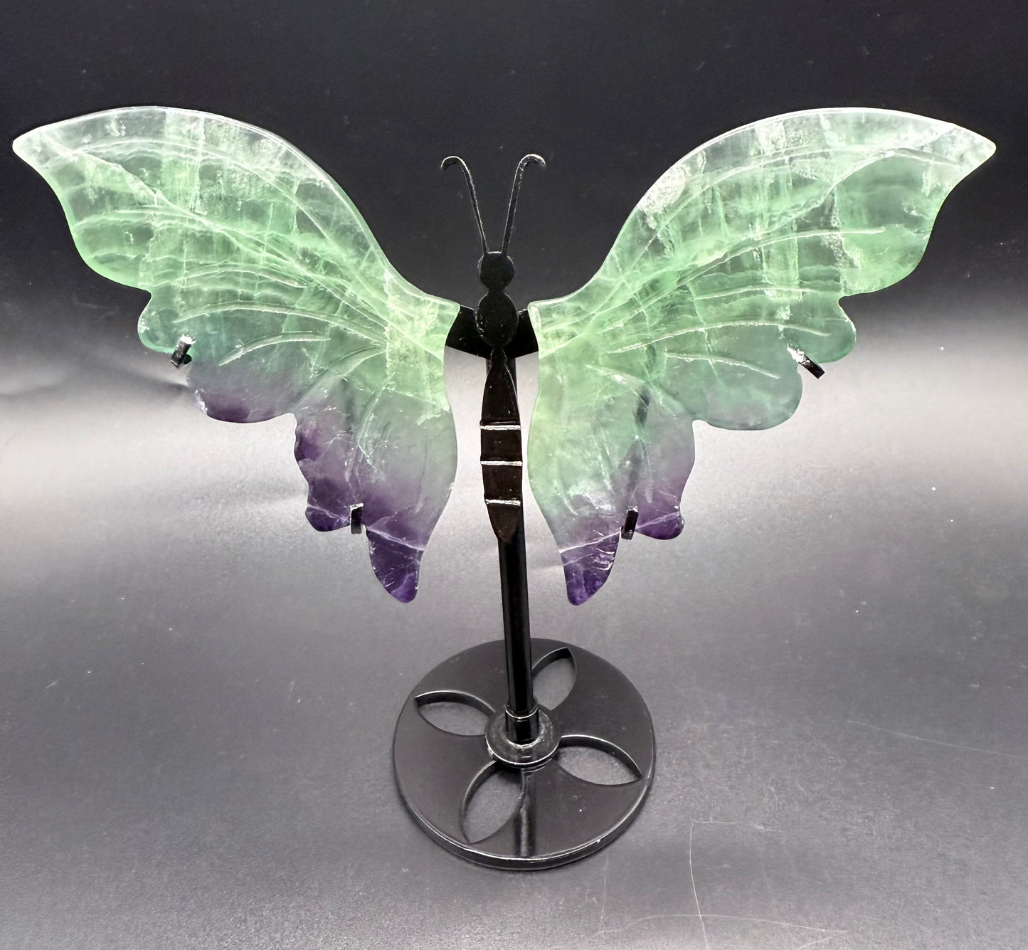 Rainbow Fluorite Butterfly with Stand