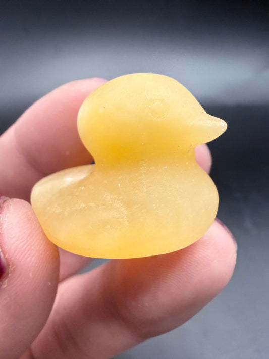 Crystal Ducks