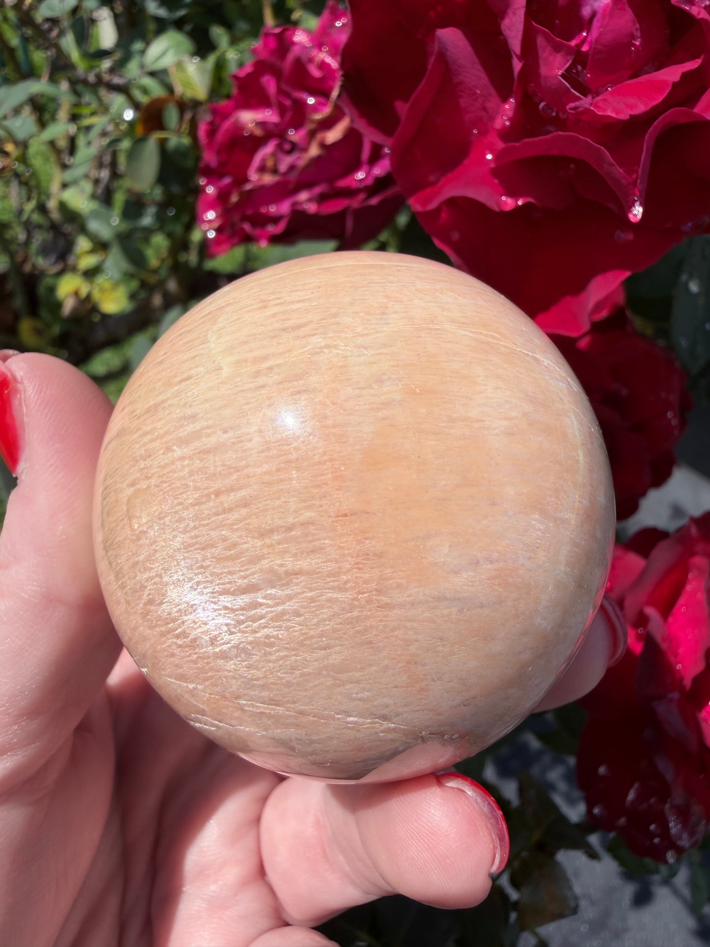 Peach Moonstone Sphere – 5.6cm | 281g