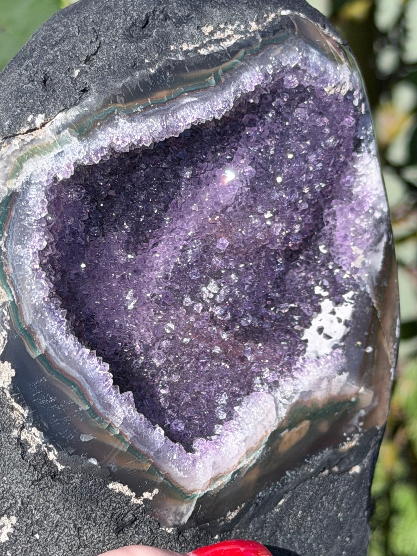 Brazilian Amethyst Druzy Cave Geode – 954g F