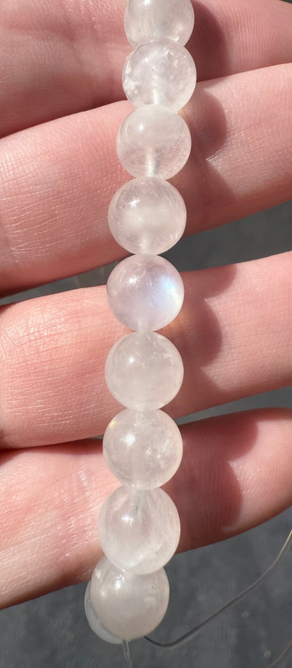 High Quality Blue Moonstone 8mm Bracelet