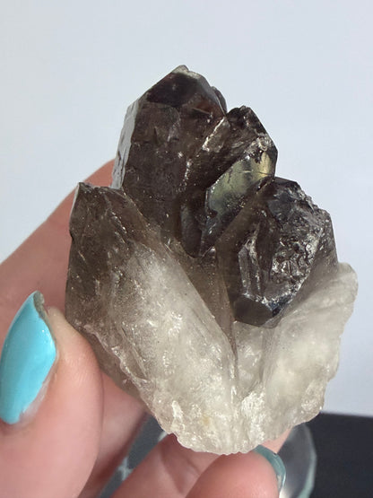 Smoky Quartz Cluster Brazilian– Grounding & Protection 114g |