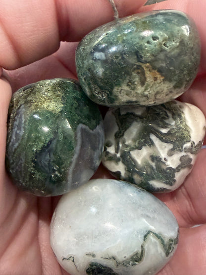 Moss Agate Tumble – Intuitively Chosen