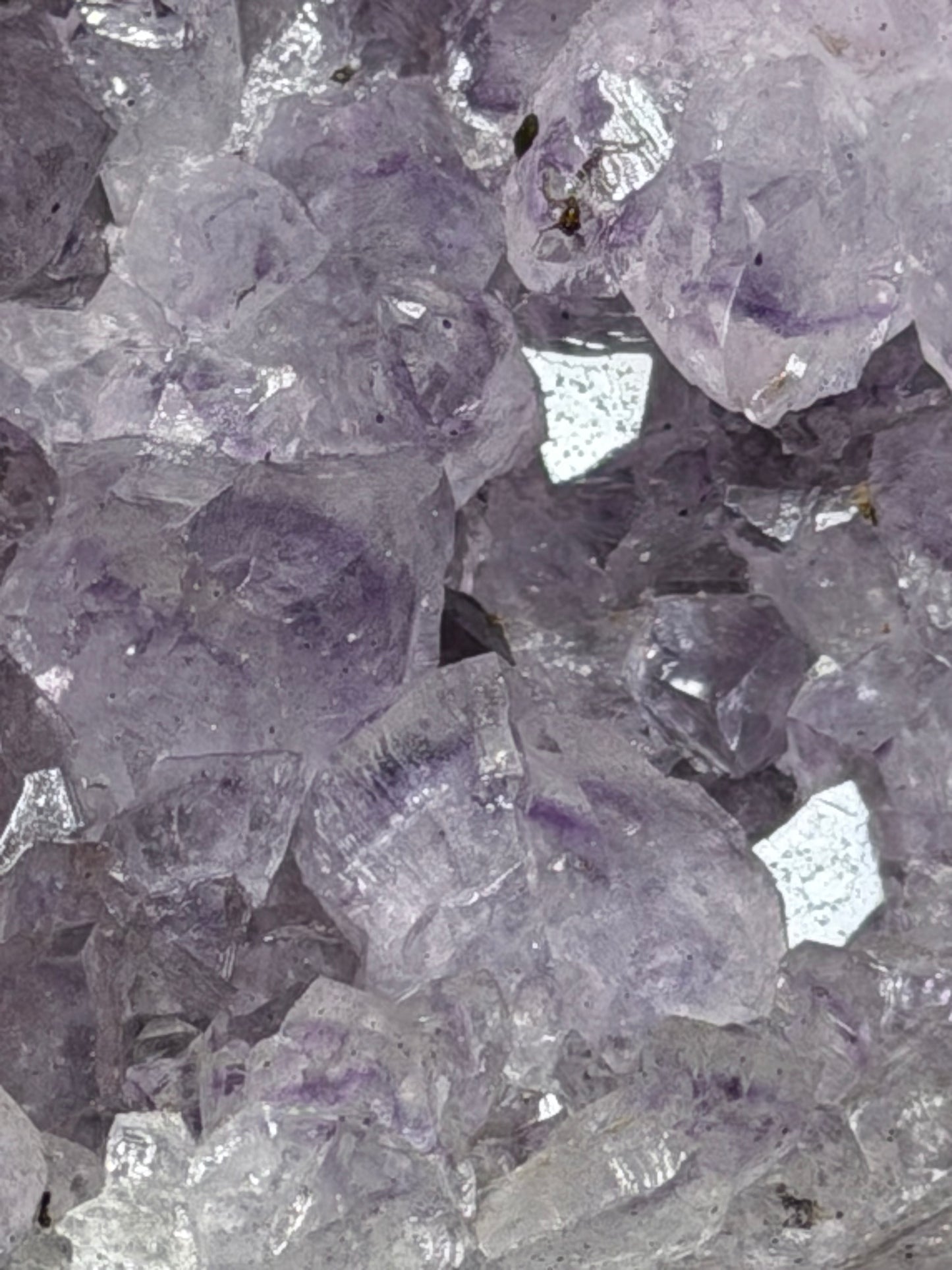 Phantom Amethyst Geode on Stand | Natural Brazilian Display Crystal | 1.5kg