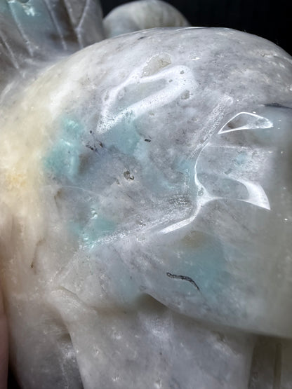 Caribbean Calcite Butterfly Skull Carving | 1.2kg | 14 × 12cm