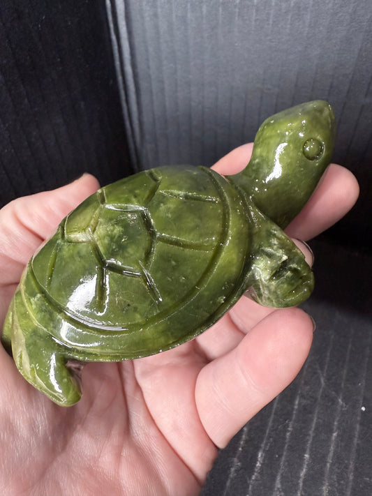 Green Jade Turtle