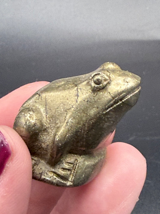 Pyrite Frog