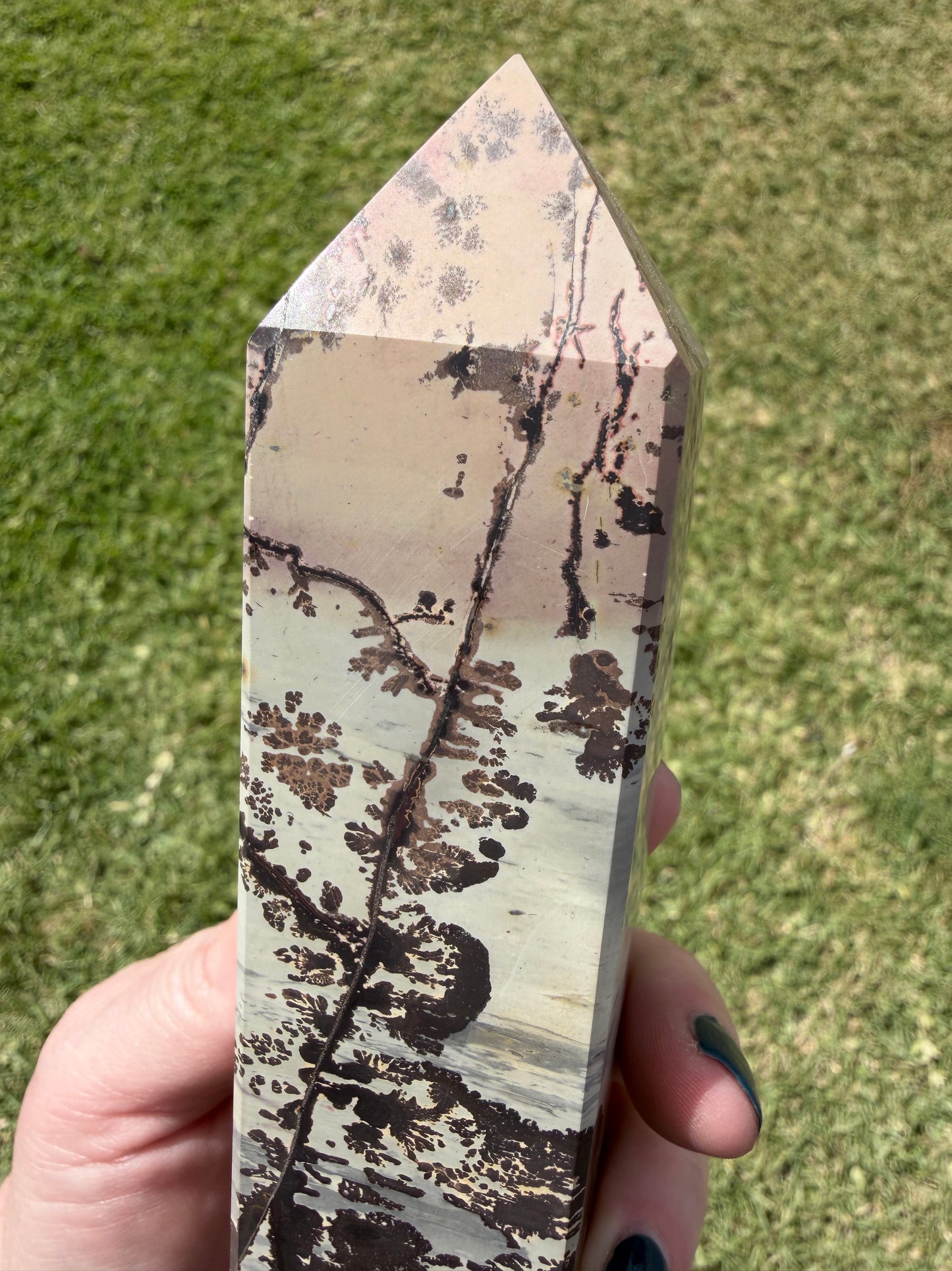 Picture Jasper with Dendritic Inclusions