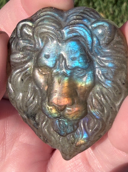 Labradorite Lion Face Carving – 5cm