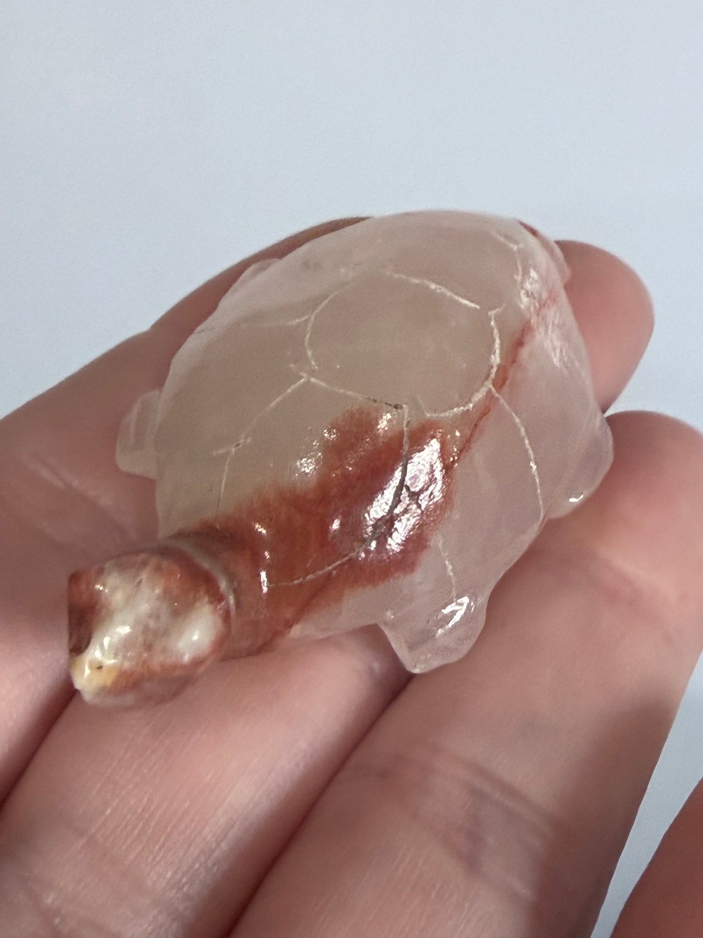 Brown Banded Calcite Turtle Family Carving – Set of 6