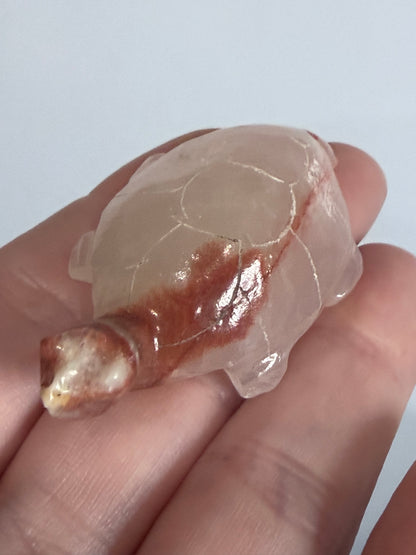 Brown Banded Calcite Turtle Family Carving – Set of 6