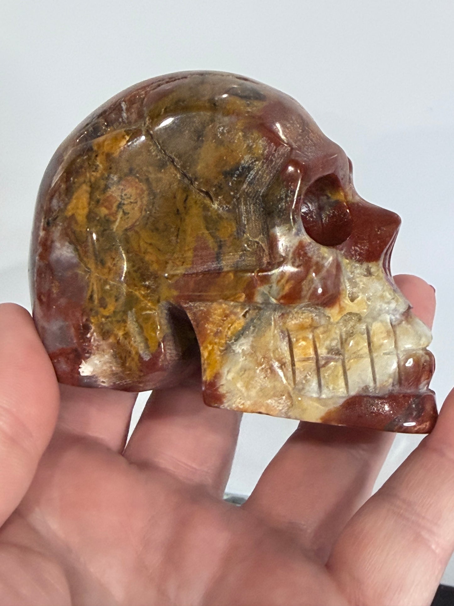 Petrified Wood Crystal Skull – 357g | 7 × 8 cm B