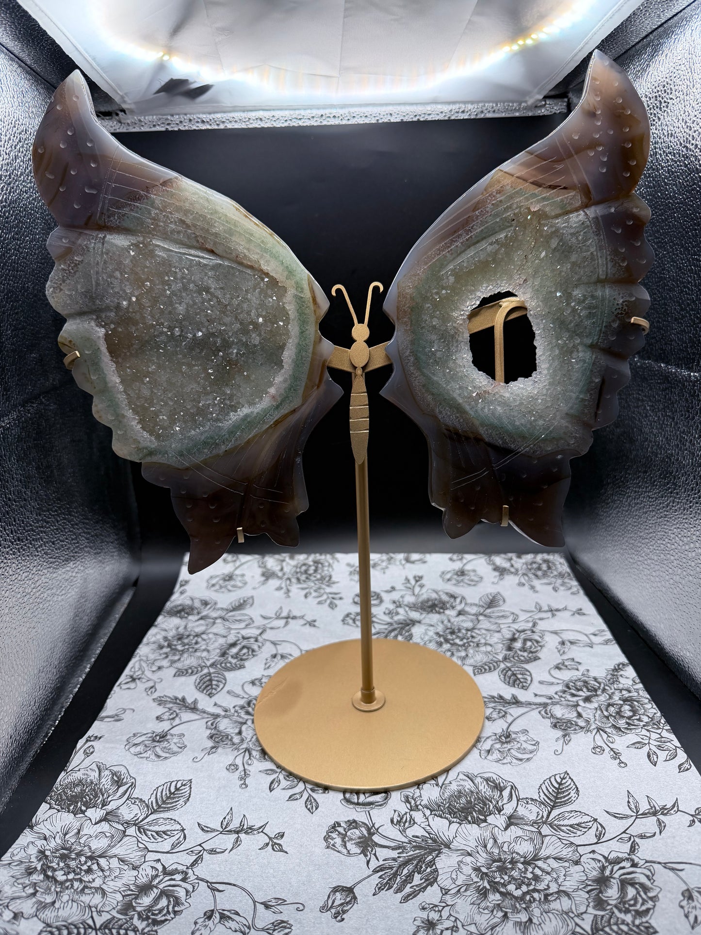 Large Agate + Quartz Druzy Butterfly Wings