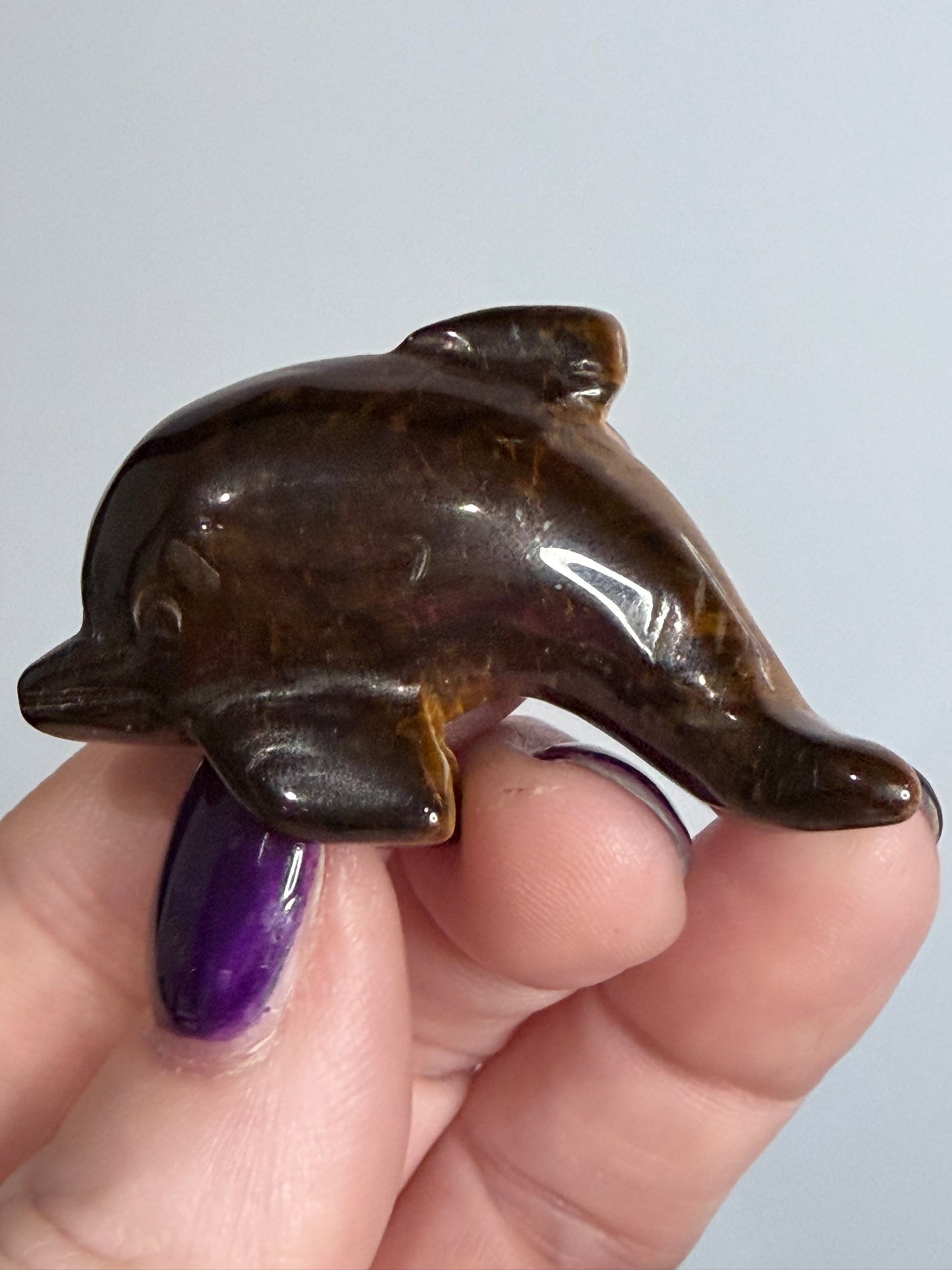 Tiger’s Eye Dolphin Carving