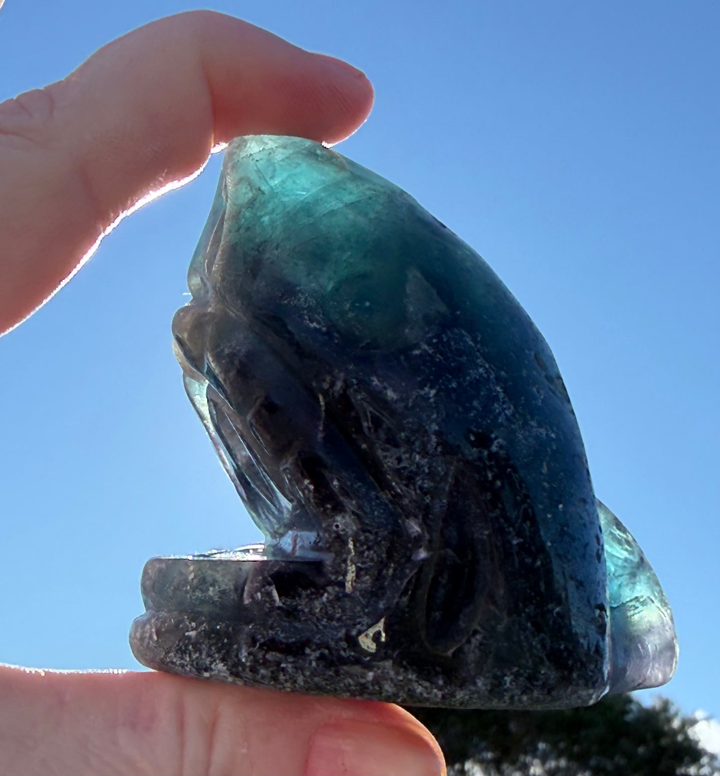 Blue Fluorite Shark Carving 7.2cm | 242g