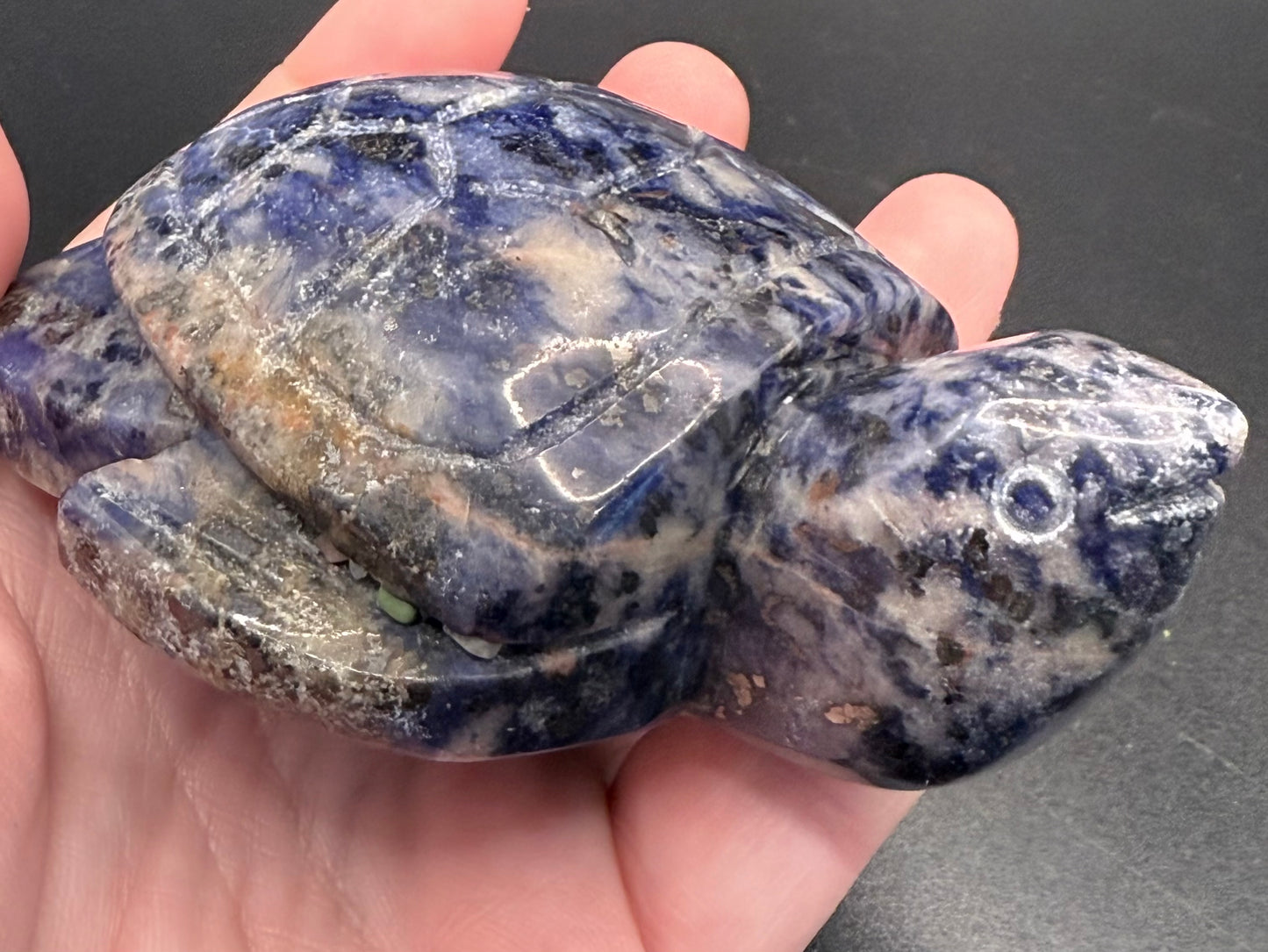 Sodalite Turtle Carving – 275g | 9.8 × 7.1cm