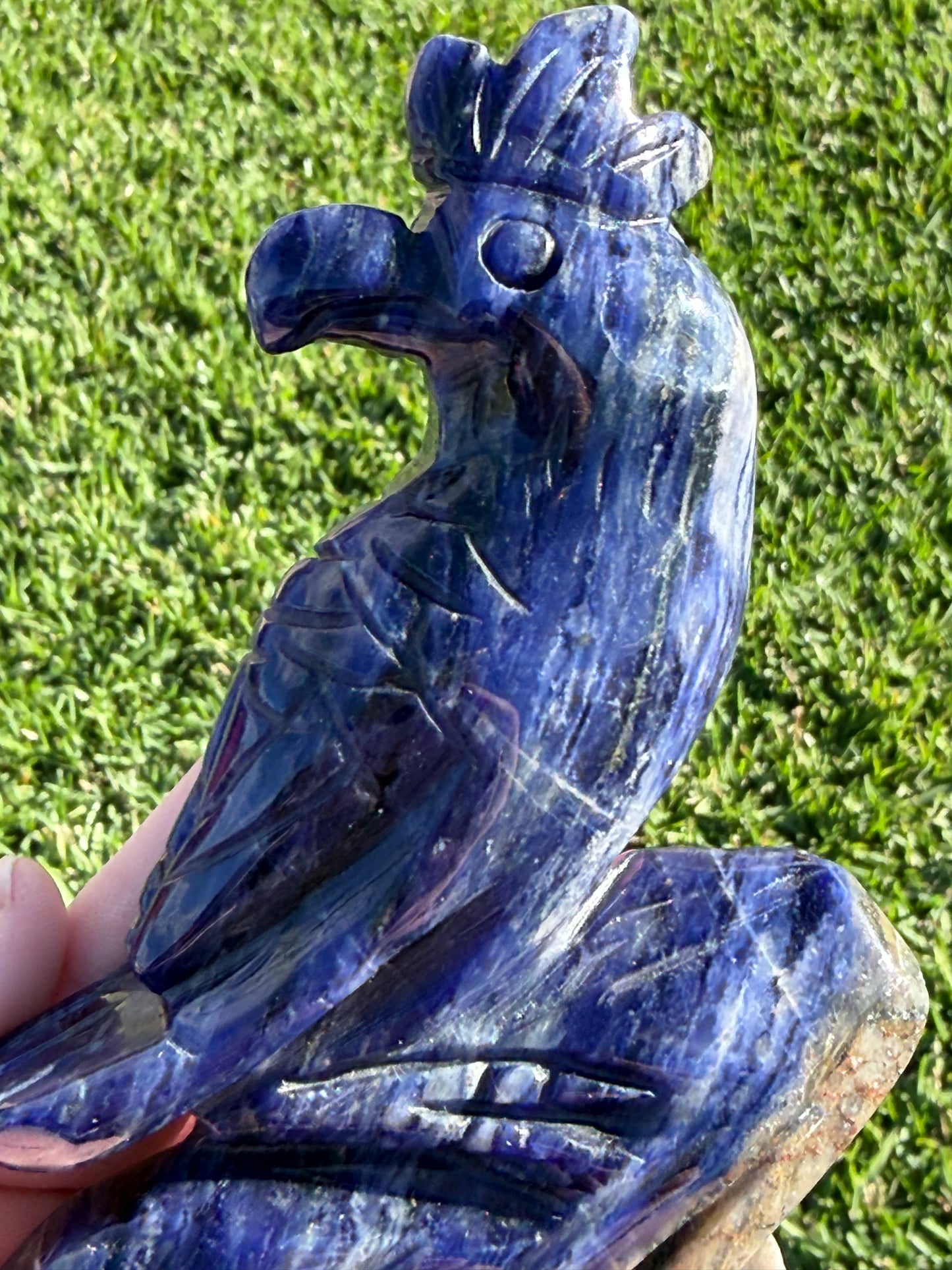 Sodalite Parrot Carving – 400g