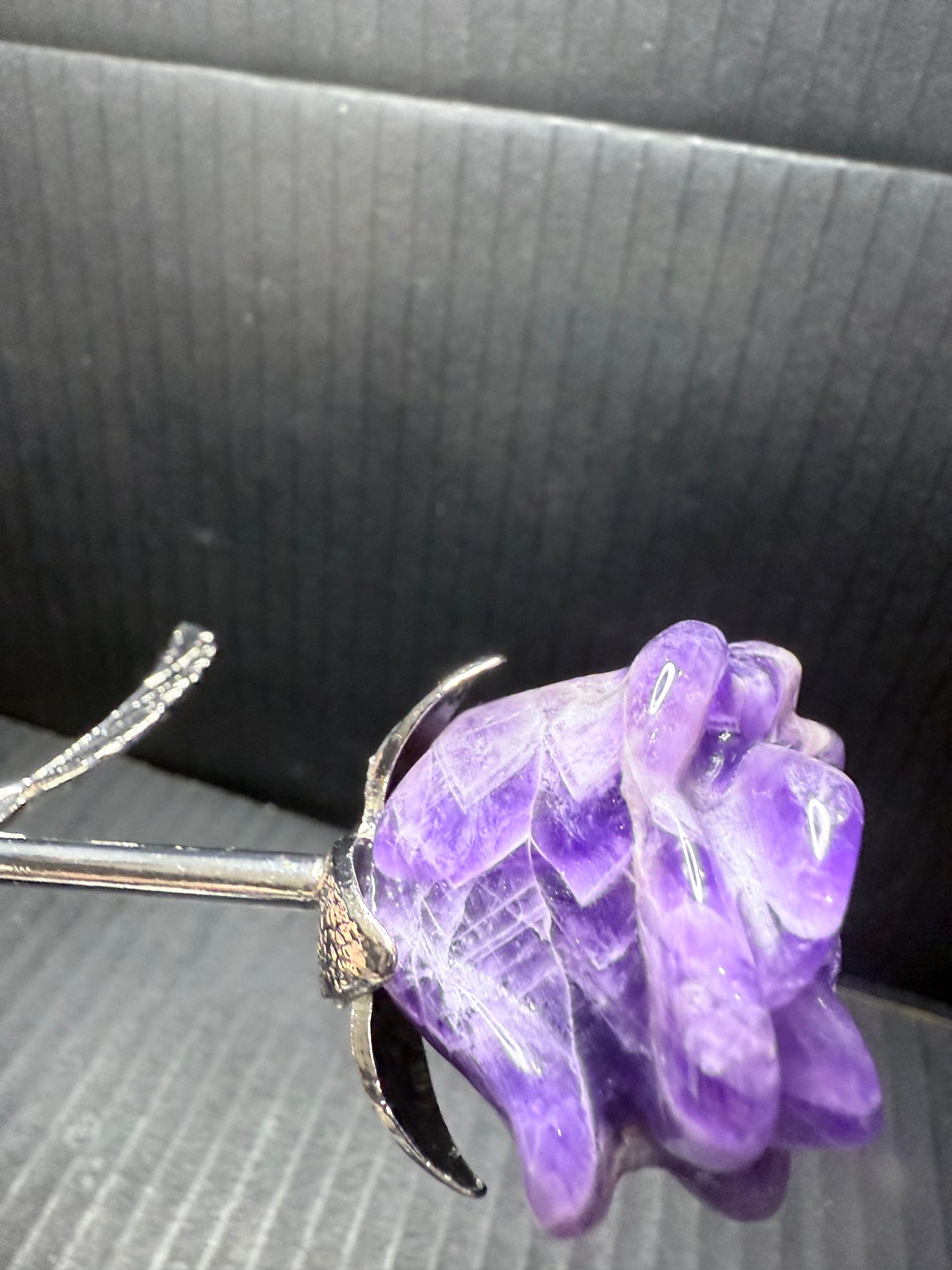 Dream Amethyst long stem Rose