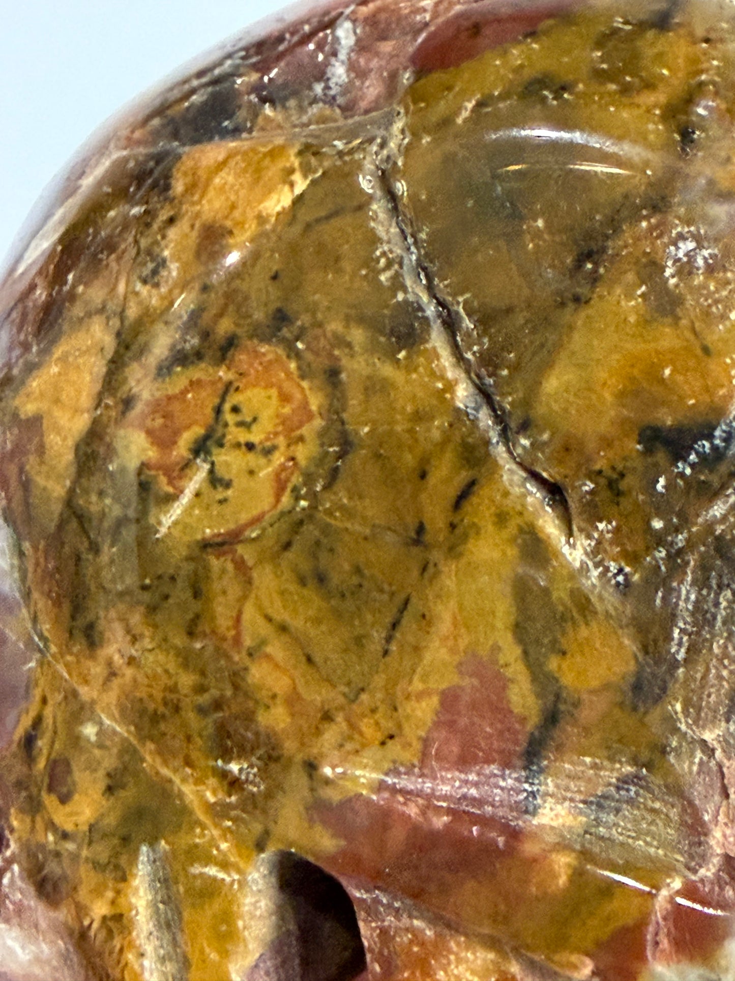 Petrified Wood Crystal Skull – 357g | 7 × 8 cm B