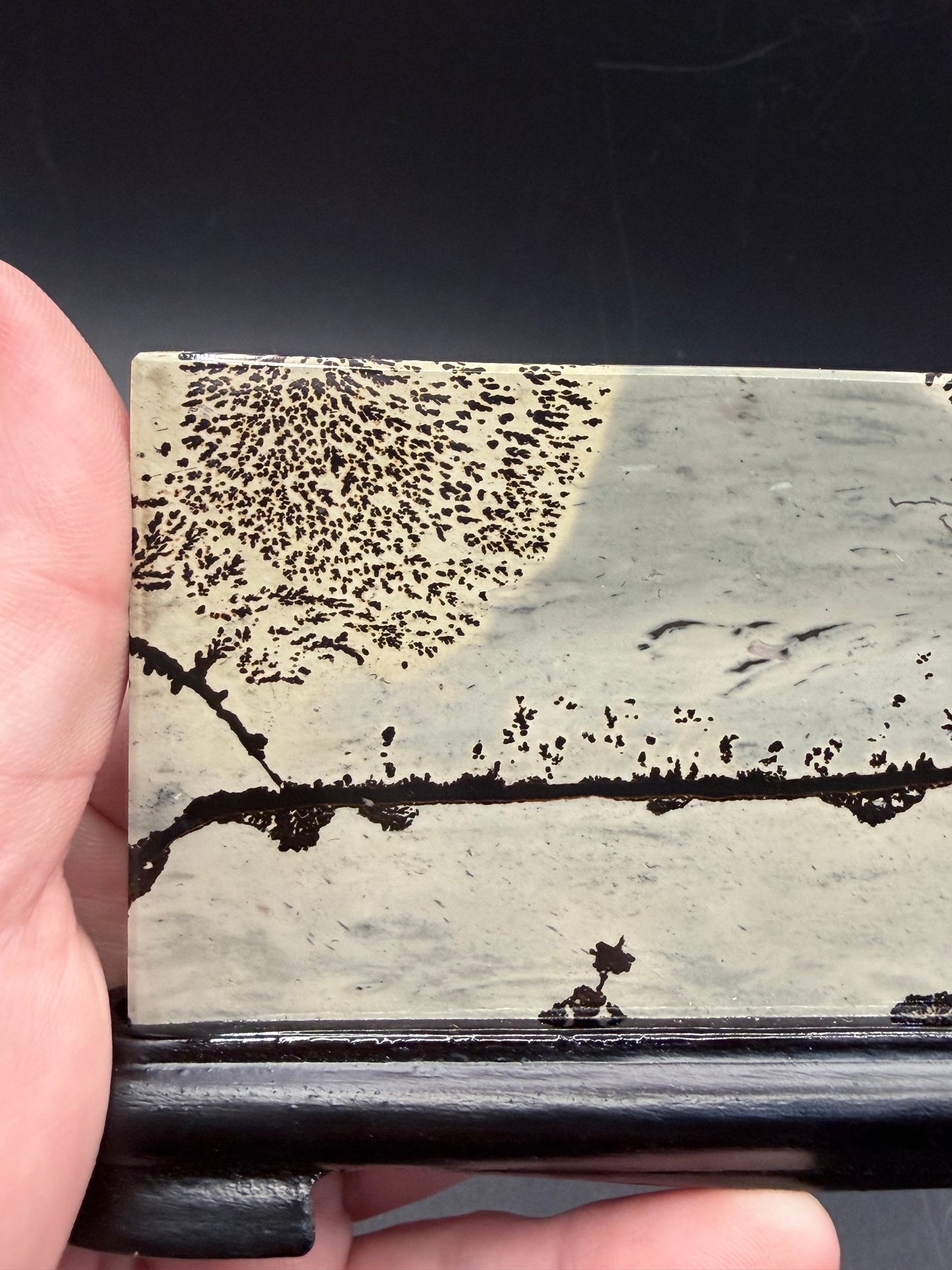 Dendritic Picture Jasper Slab on Stand