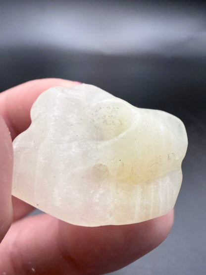 Dinosaur Skull Carvings