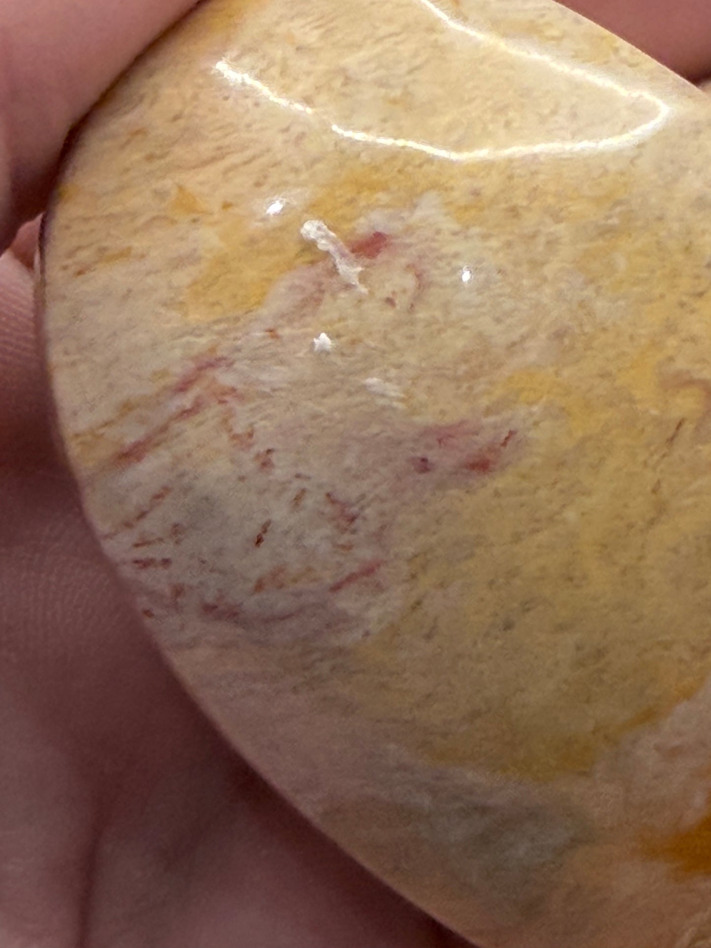 Fossil Coral Heart (85g) – Cream & Honey