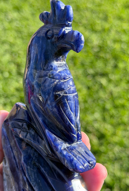 Sodalite Parrot Carving – 400g