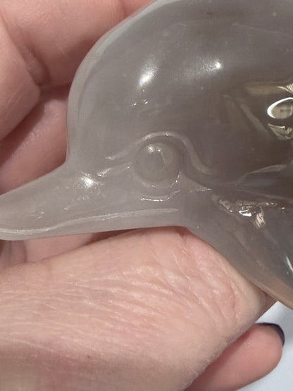 Agate Dolphin with Natural Druzy