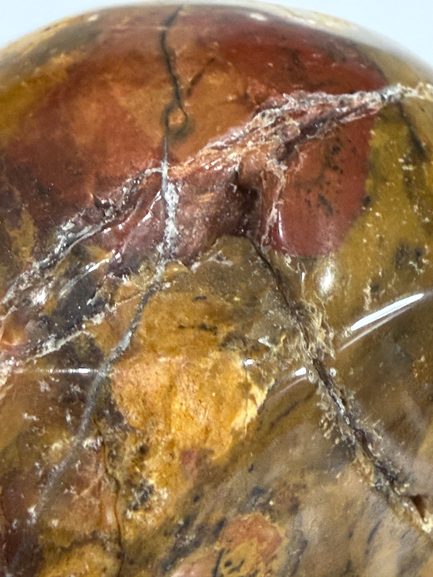 Petrified Wood Crystal Skull – 357g | 7 × 8 cm B
