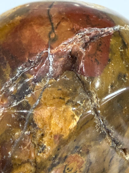 Petrified Wood Crystal Skull – 357g | 7 × 8 cm B