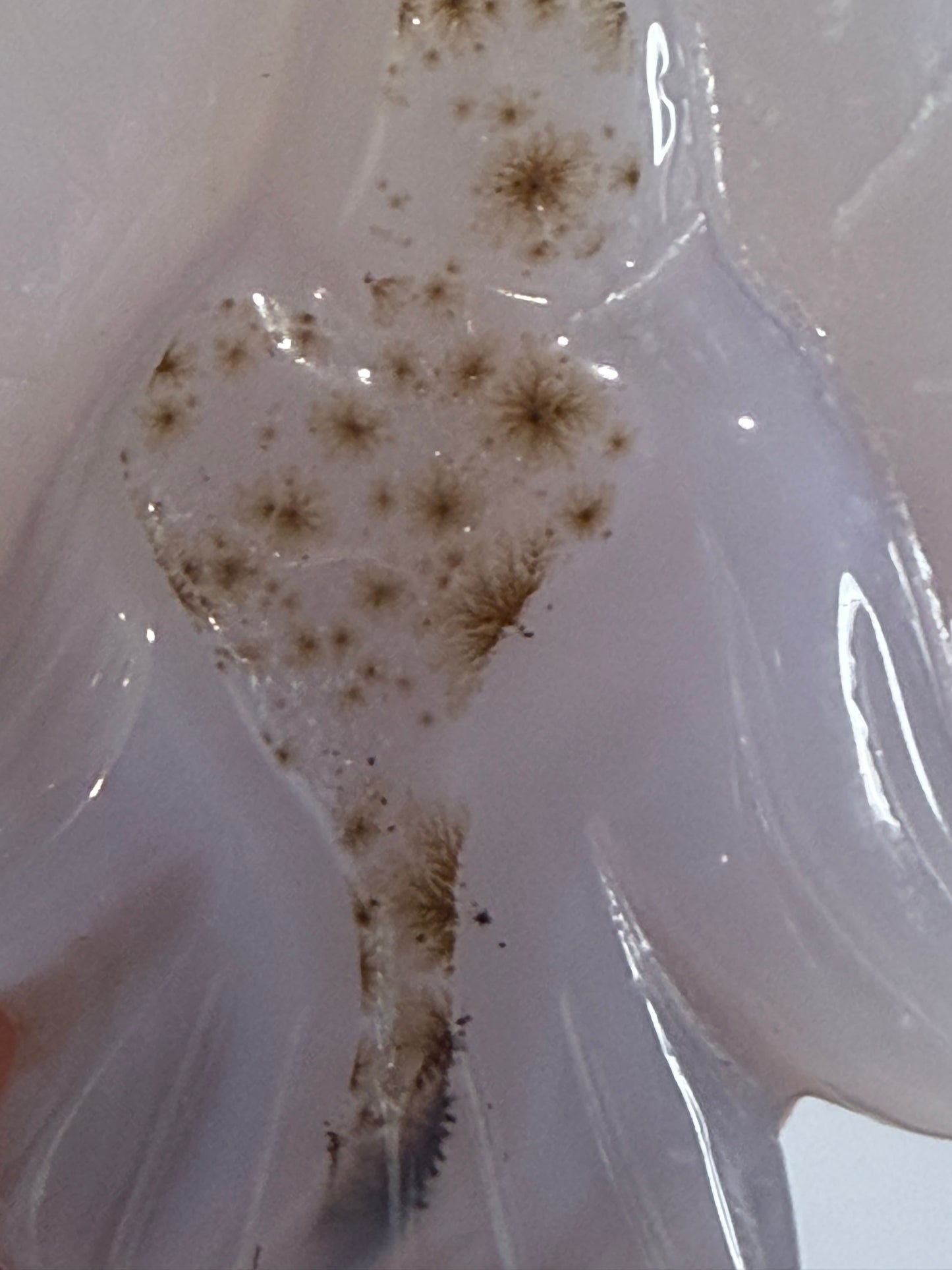 Dendritic Agate Angel Carving – 5.8cm