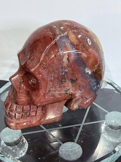 Petrified Wood Skull Crystal Carving – 364g (7 × 8 cm) A
