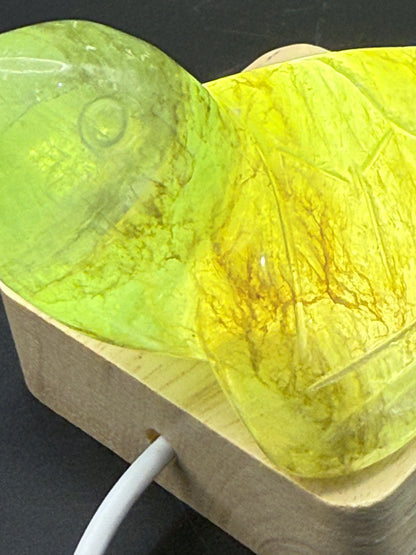 Extra Special Fluorite Turtle with Dendritic Inclusions