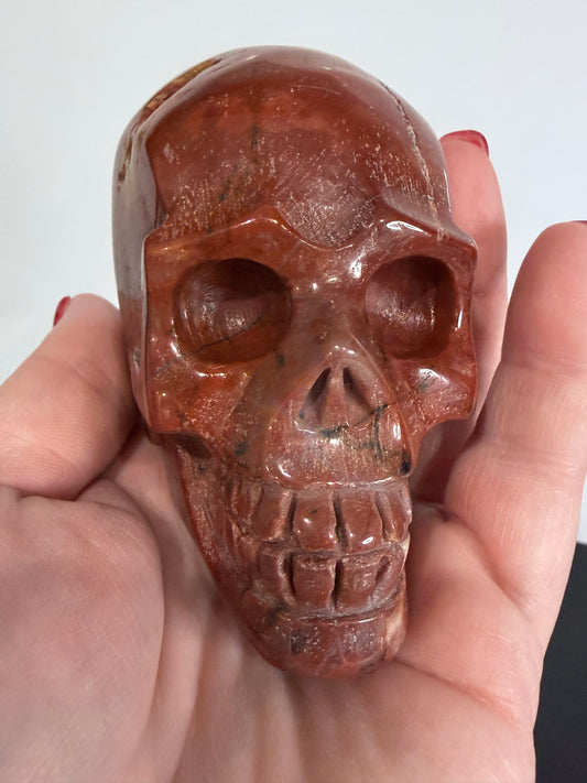 Petrified Wood Skull Crystal Carving – 364g (7 × 8 cm) A