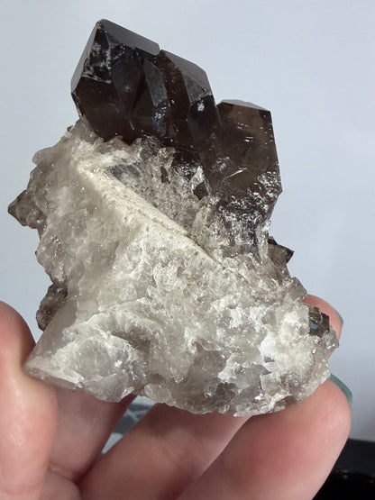 Smoky Quartz Crystal Cluster on Milky Quartz Matrix 160g | Natural Brazilian -
