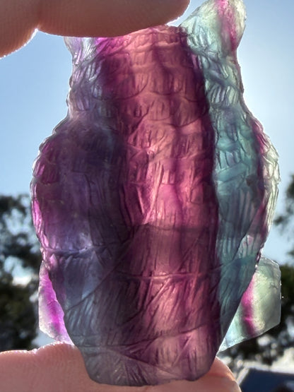 Rare Blue Banding Rainbow Fluorite Owl Carving – 5.1cm