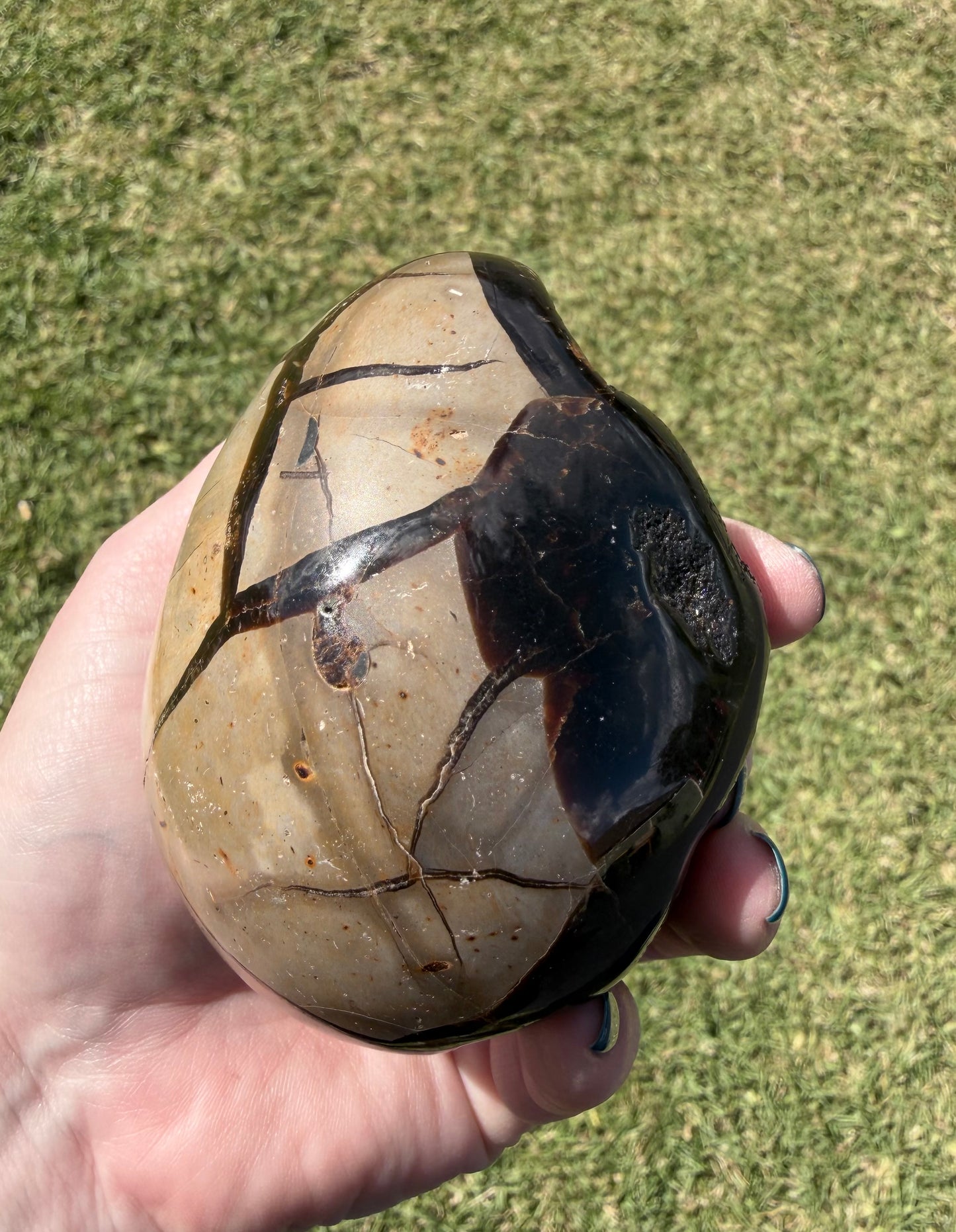 Septarian Druzy Egg — 500 g (9.1 × 5.7 cm) Dragon Stone