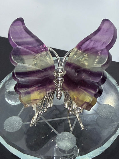 Rainbow Fluorite Butterfly on Metal Stand 9cm
