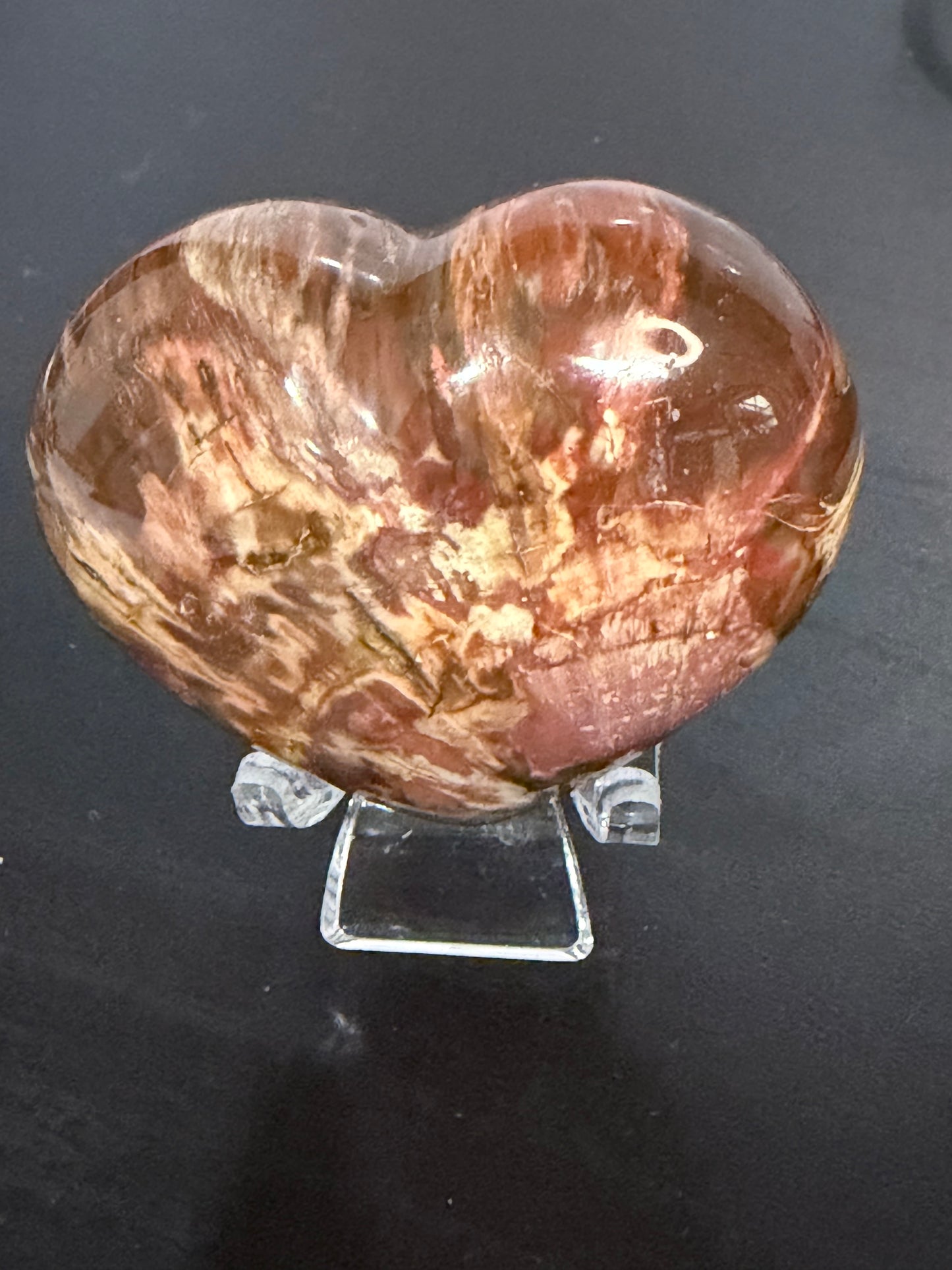Petrified Wood Heart 🤎 A