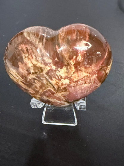Petrified Wood Heart 🤎 A