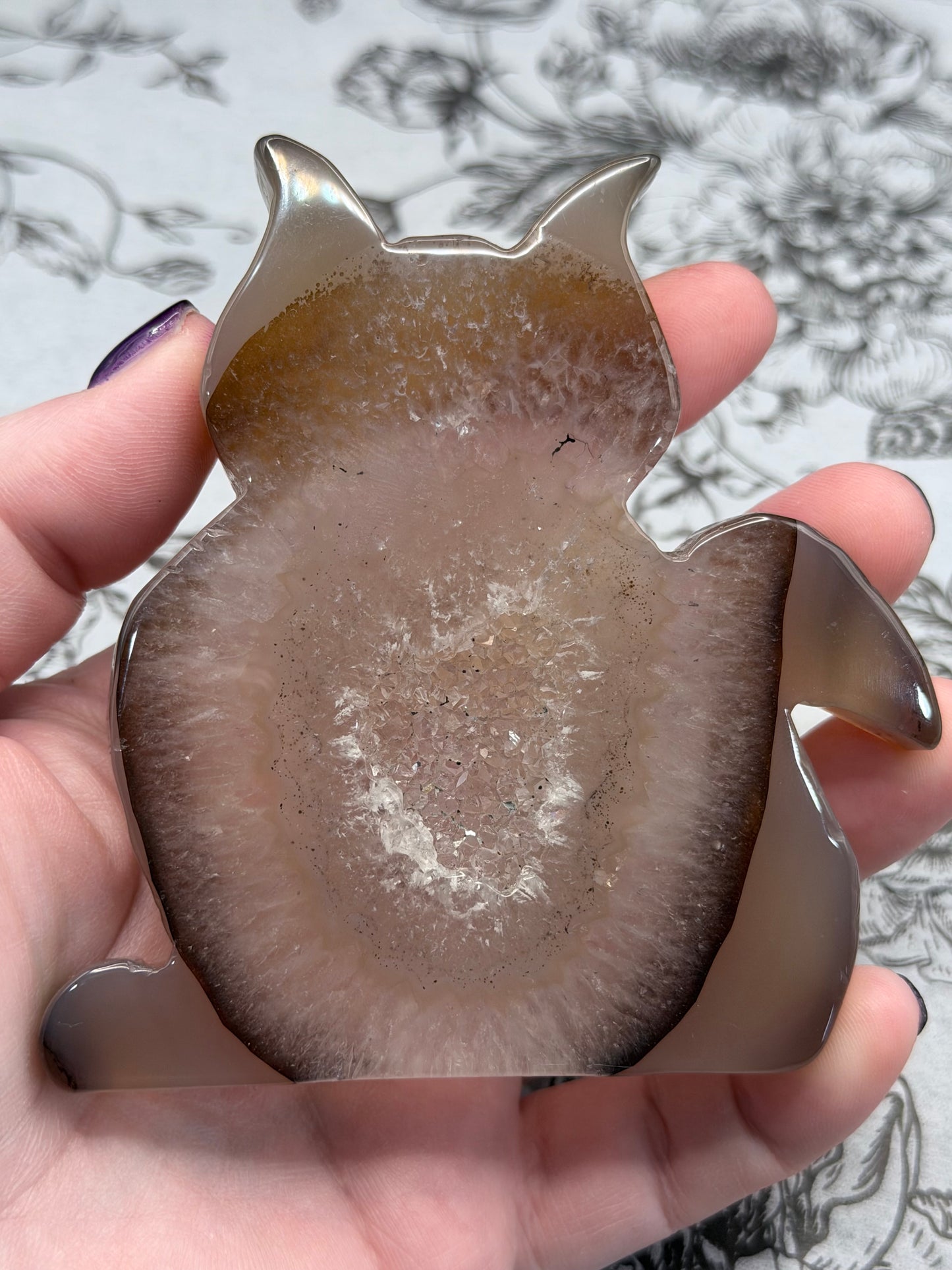 Druzy Agate Cat Geode — 160g | 9.4 x 8.1cm