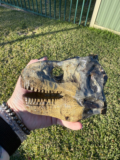 Picture Jasper Dino Skull