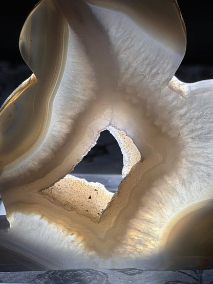 Druzy Banded Agate Cat “Geode Window” — 180g | 9.5 x 9.2cm