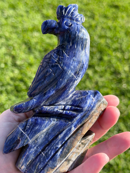 Sodalite Parrot Carving – 400g
