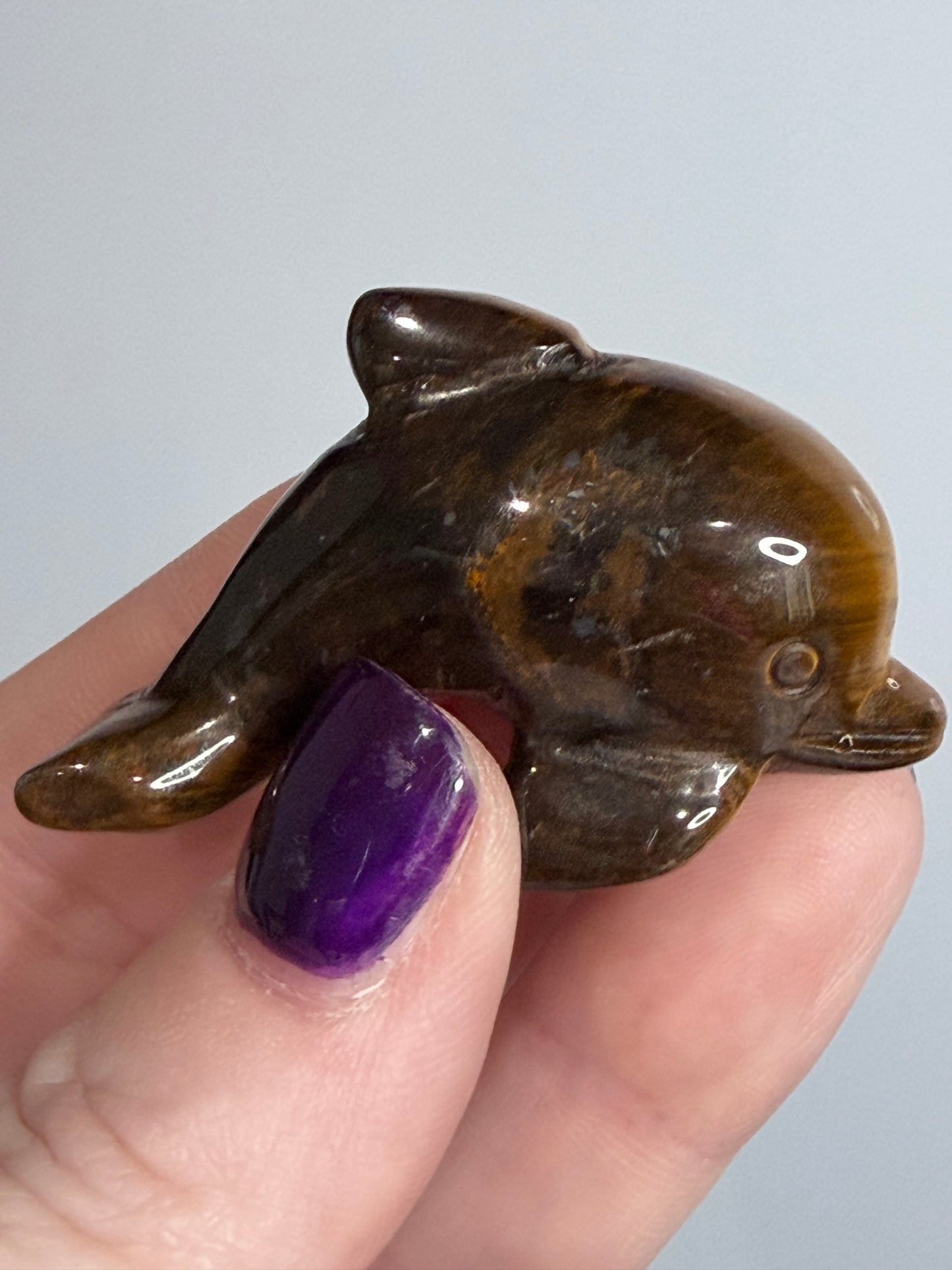 Tiger’s Eye Dolphin Carving