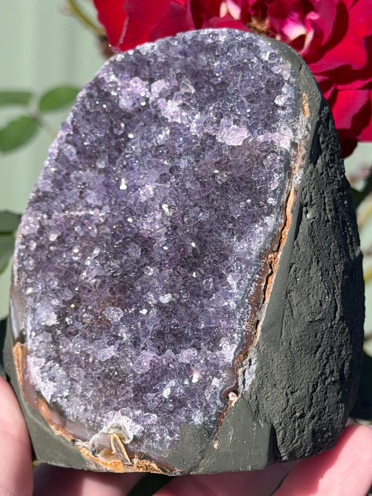 Brazilian Amethyst Druzy Geode – 807g D