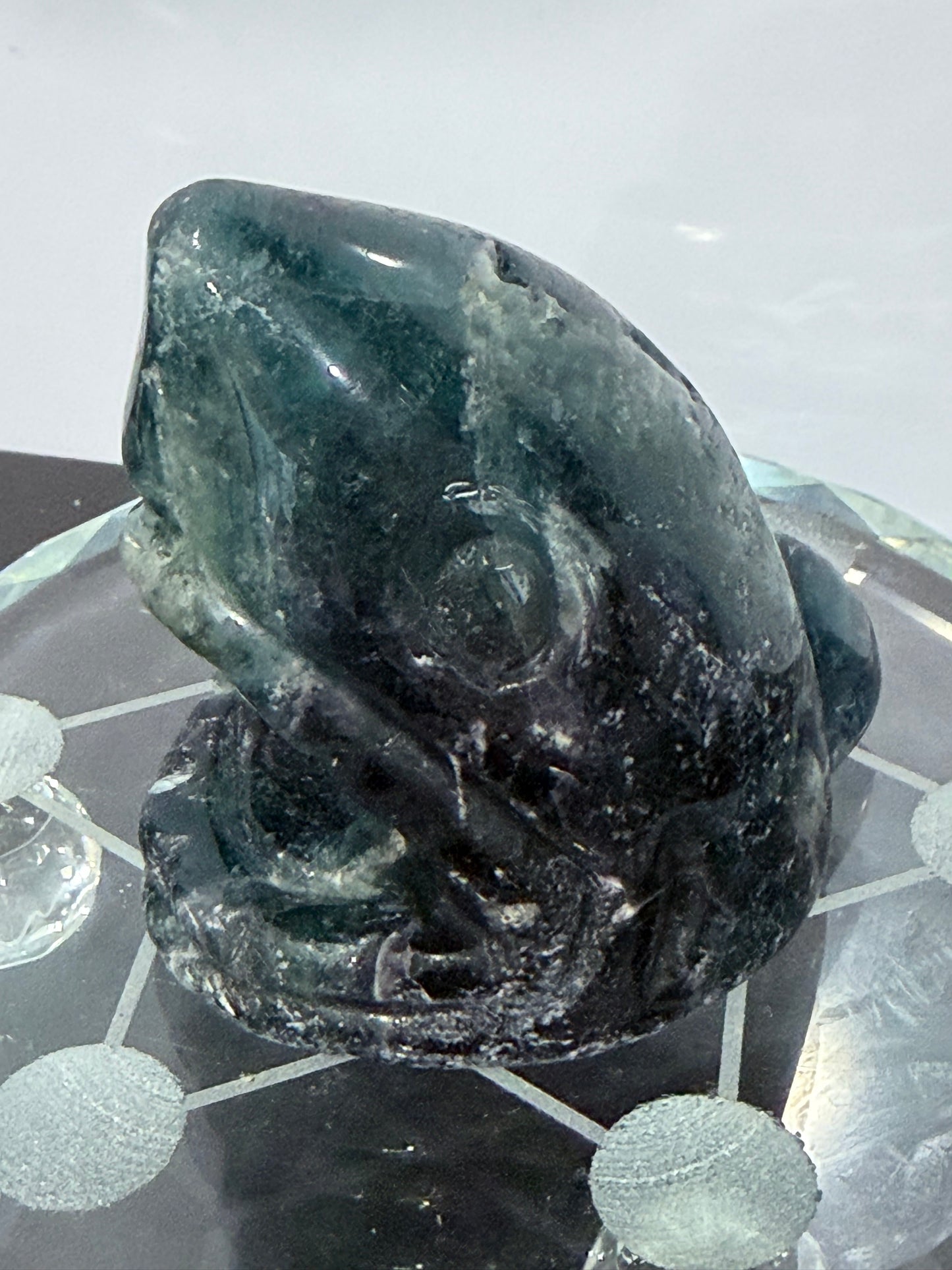Blue Fluorite Shark Carving 7.2cm | 242g
