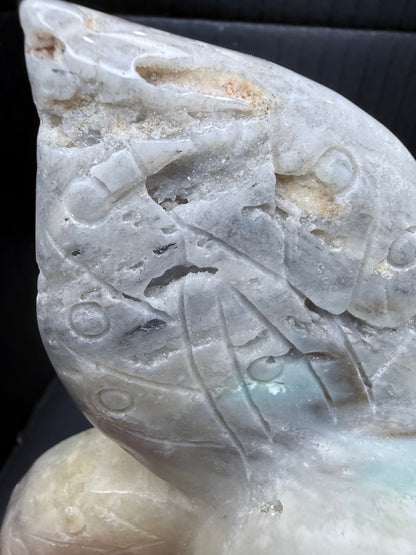 Caribbean Calcite Butterfly Skull Carving | 1.2kg | 14 × 12cm