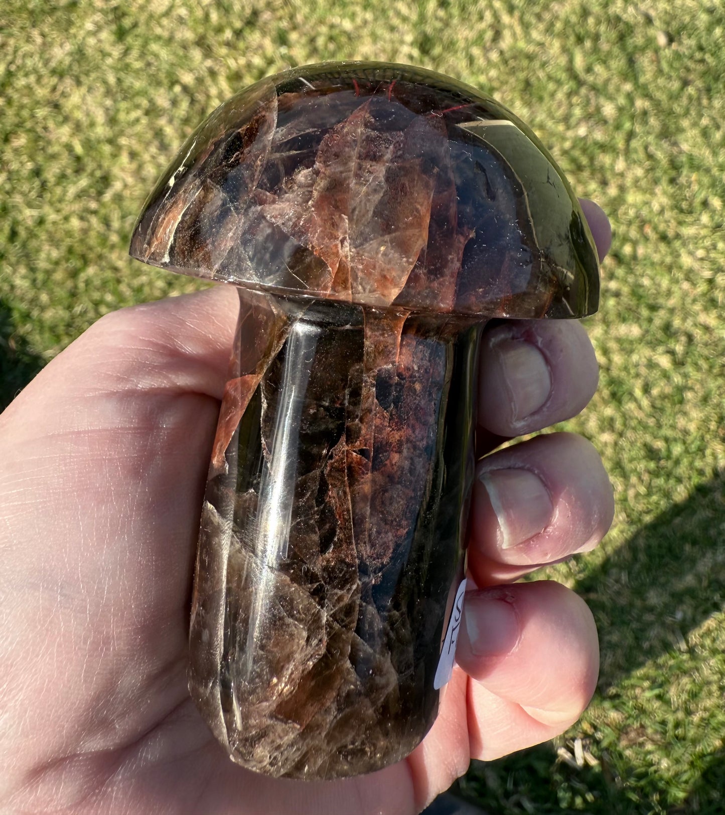 Red Fire Quartz in Smoky Quartz Mushroom